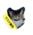 BooKiKiスタンプ（個別スタンプ：5）