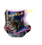 BooKiKiスタンプ（個別スタンプ：6）