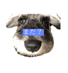 ておっちくん（個別スタンプ：1）
