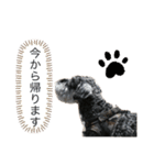 ておっちくん（個別スタンプ：5）