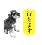 ておっちくん（個別スタンプ：8）