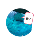 水族館クリエイター（個別スタンプ：5）