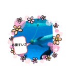 水族館クリエイター（個別スタンプ：8）
