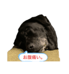 ソアラ.（個別スタンプ：3）