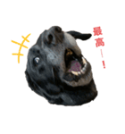 ソアラ.（個別スタンプ：8）