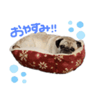 ブーだよ！！（個別スタンプ：2）