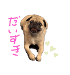 ブーだよ！！（個別スタンプ：3）