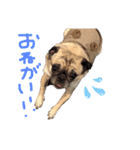 ブーだよ！！（個別スタンプ：10）