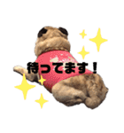 ブーだよ！！（個別スタンプ：14）