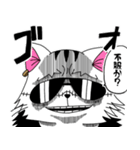 憧れcat3 -ONE PIECE collaboration-（個別スタンプ：7）