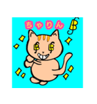 ONE PIECE ネコスタンプ（個別スタンプ：5）