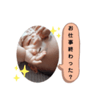 ゆなちゃんスタンプno3（個別スタンプ：23）
