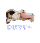 ぴよぴよひよちゃん（個別スタンプ：21）