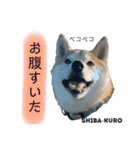 赤柴クロだよ⑦（個別スタンプ：5）