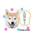 赤柴クロだよ⑦（個別スタンプ：14）