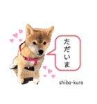 赤柴クロだよ⑦（個別スタンプ：16）