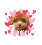 ラテ＆ちょこ＆つぶ（個別スタンプ：8）
