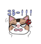 お腹がすいた猫！（個別スタンプ：7）