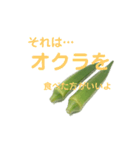 オクラ好きのスタンプ（個別スタンプ：15）