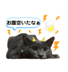 6ニャンズ♡‴（個別スタンプ：10）