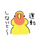 コザクラインコのとりもも（コロナ）（個別スタンプ：3）