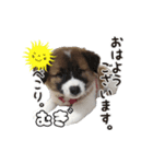 まろうにむぎ（個別スタンプ：4）