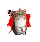 まろうにむぎ（個別スタンプ：5）