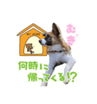 まろうにむぎ（個別スタンプ：7）