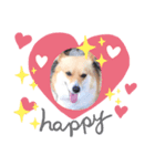 コーギー犬ロンちゃんのにこにこスタンプ（個別スタンプ：2）
