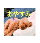 みんなのアイドルちくわ先生！（個別スタンプ：4）