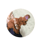 みんなのアイドルちくわ先生！（個別スタンプ：5）