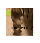 みんなのアイドルちくわ先生！（個別スタンプ：8）