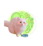 アロンくんの日常（個別スタンプ：3）
