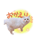 アロンくんの日常（個別スタンプ：4）