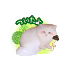 アロンくんの日常（個別スタンプ：11）