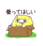 たぬピスタンプ01（個別スタンプ：12）