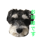 ソル②（個別スタンプ：2）