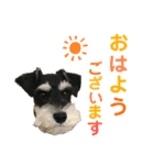 ソル②（個別スタンプ：5）