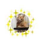猫のうにくん（個別スタンプ：5）