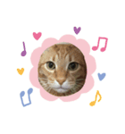 猫のうにくん（個別スタンプ：8）