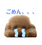 T家のお犬様1（個別スタンプ：11）