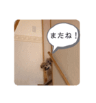T家のお犬様1（個別スタンプ：24）