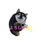 kurochannel2（個別スタンプ：2）