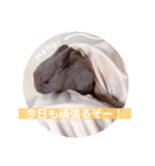 もふもふちょものスタンプ（個別スタンプ：3）