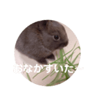 もふもふちょものスタンプ（個別スタンプ：4）