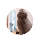 もふもふちょものスタンプ（個別スタンプ：7）