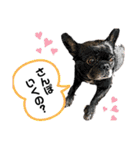 元気なわがや（個別スタンプ：24）