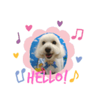 ロン-マルプー（個別スタンプ：1）