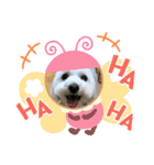 ロン-マルプー（個別スタンプ：6）