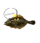 パパのイラスト魚（個別スタンプ：2）